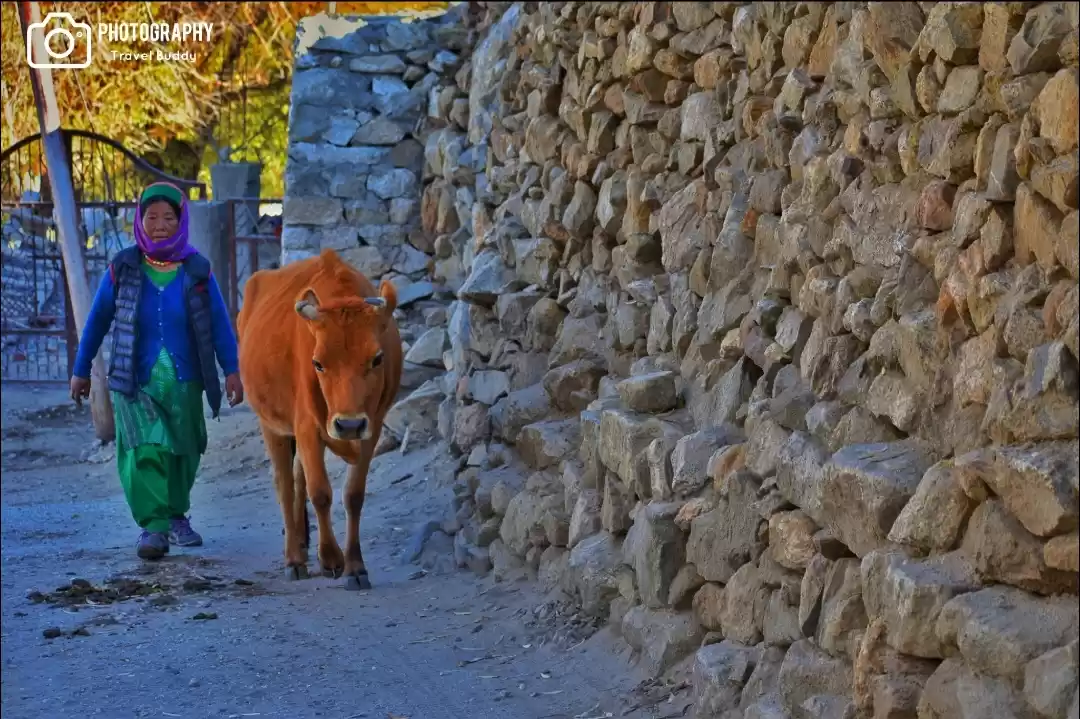 Photo of Nako - Spiti Trip