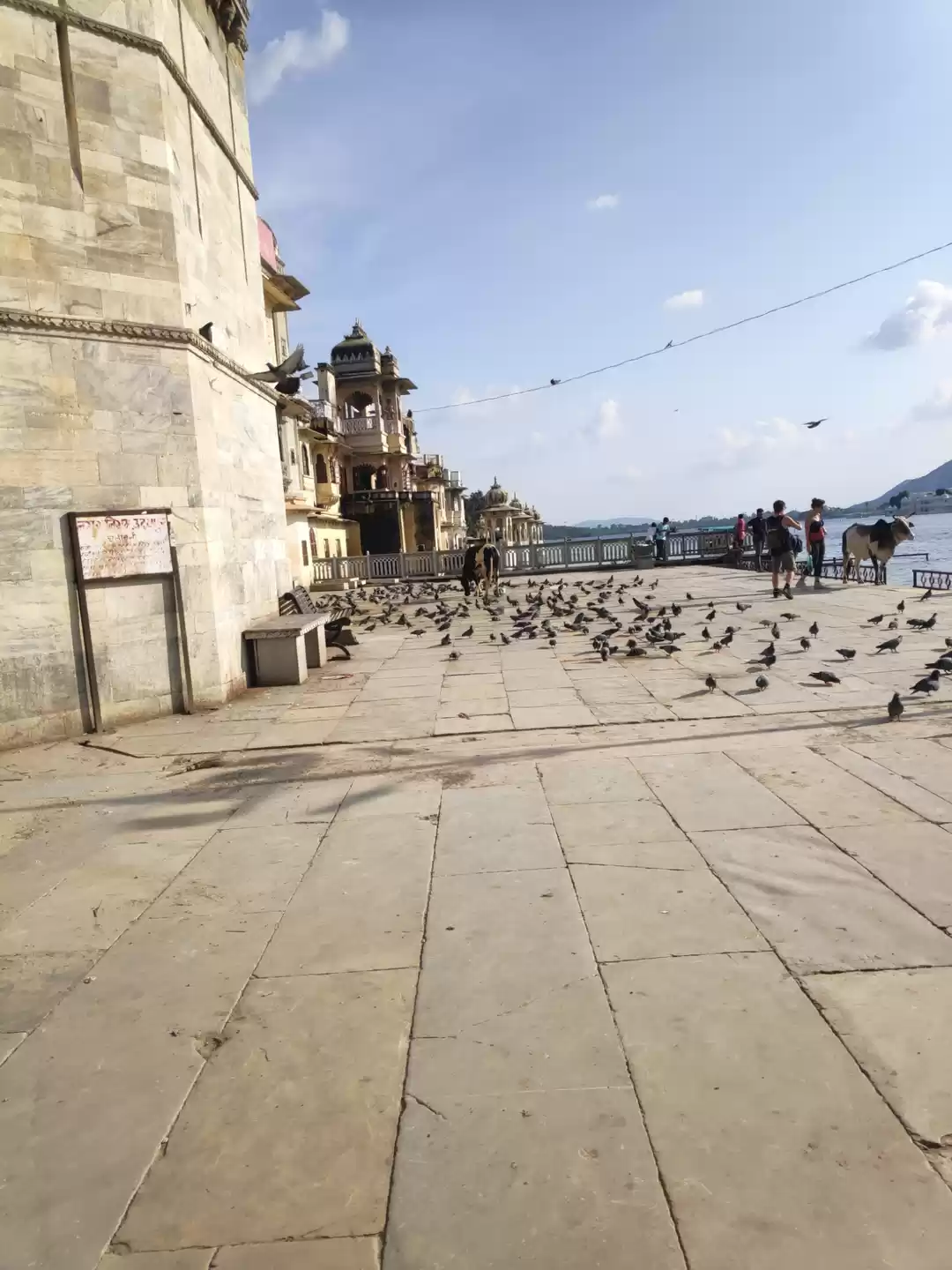 Photo of Solo dream calling..