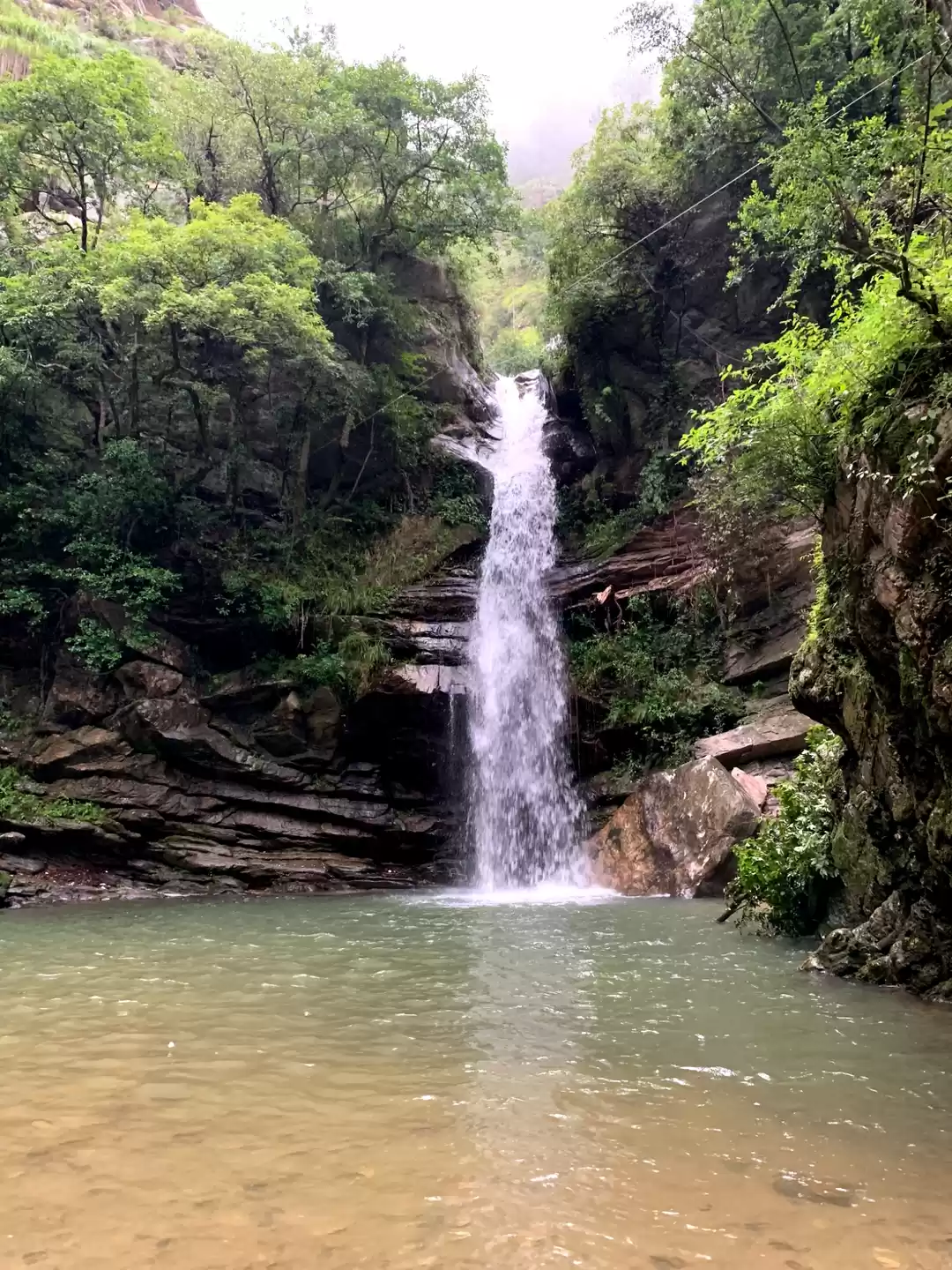 Photo of Never give up! A sto