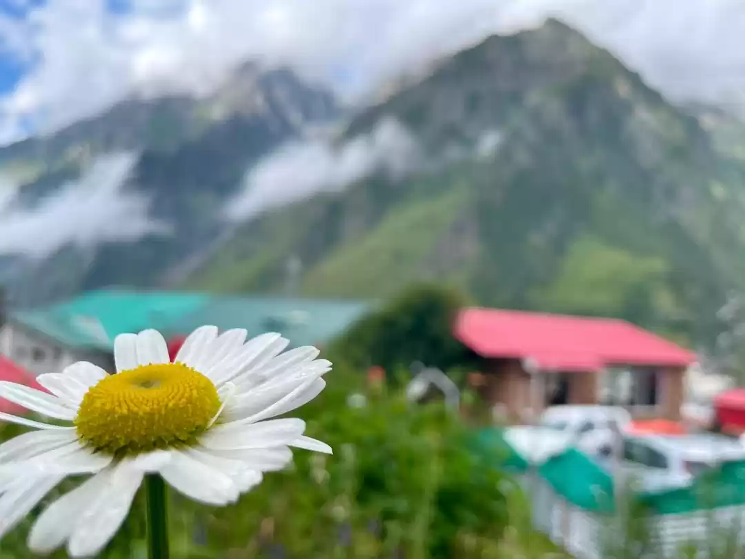 Photo of Rains, Roads, and Ro