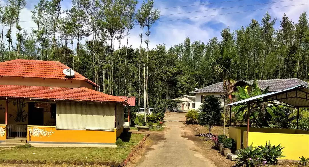 Photo of Zostel Chikmagalur