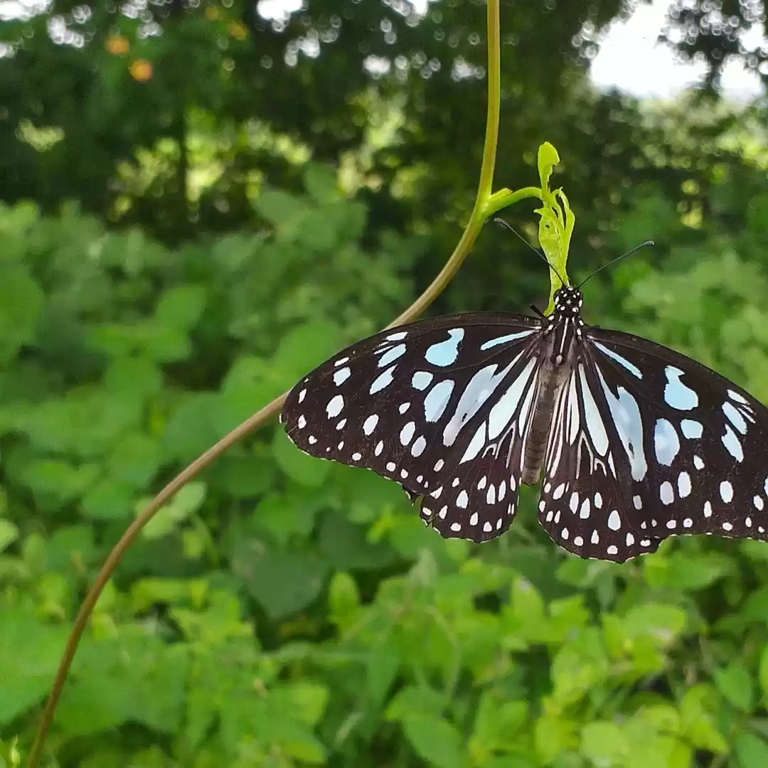 Photo of krati patel