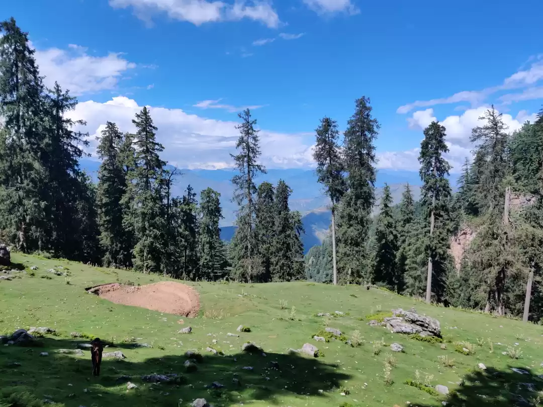 Photo of Live in the clouds -