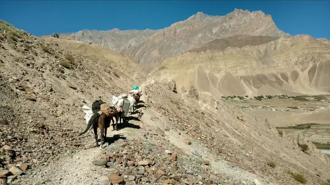 Photo of Zanskar trek