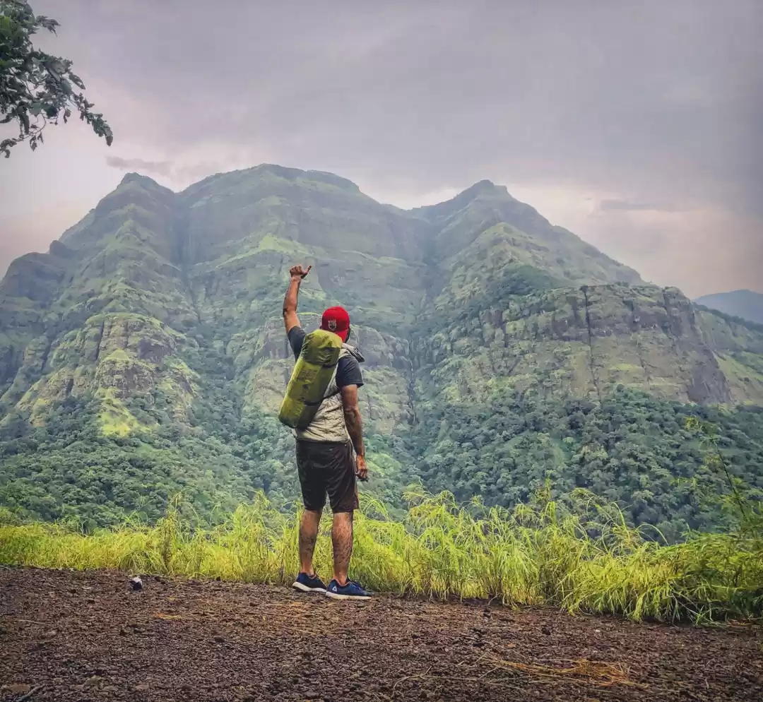 Photo of Tangled Treasure Of