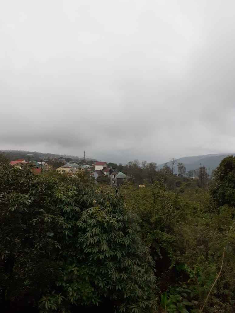 Photo of Sublime Mahabaleshwar. #BestofMaharashtra