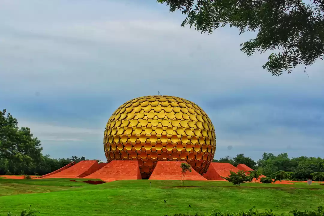 Photo of Flamboyant Pondicher