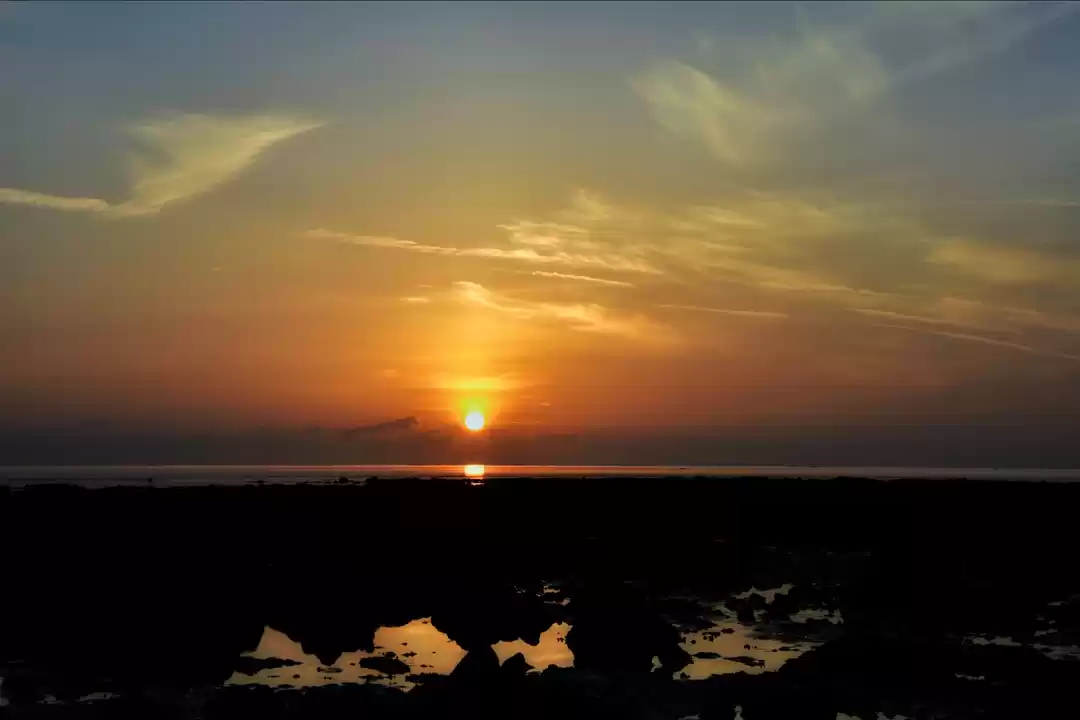 Photo of Admirable Dawn and D