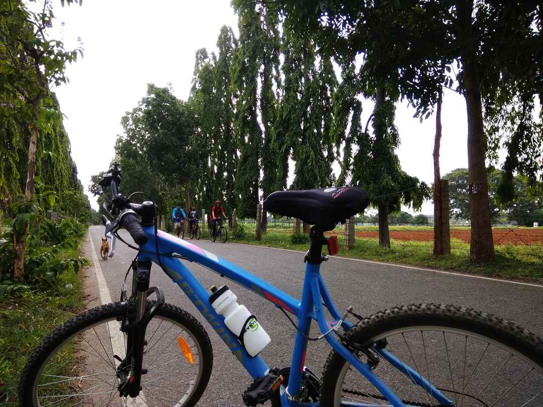 Bike track near sale me
