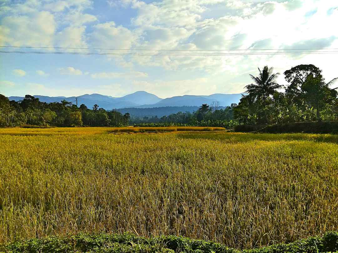 A 3 Day Ride In The Land Of Kodavas Coorg Tripoto Known as the scotland of. day ride in the land of kodavas coorg