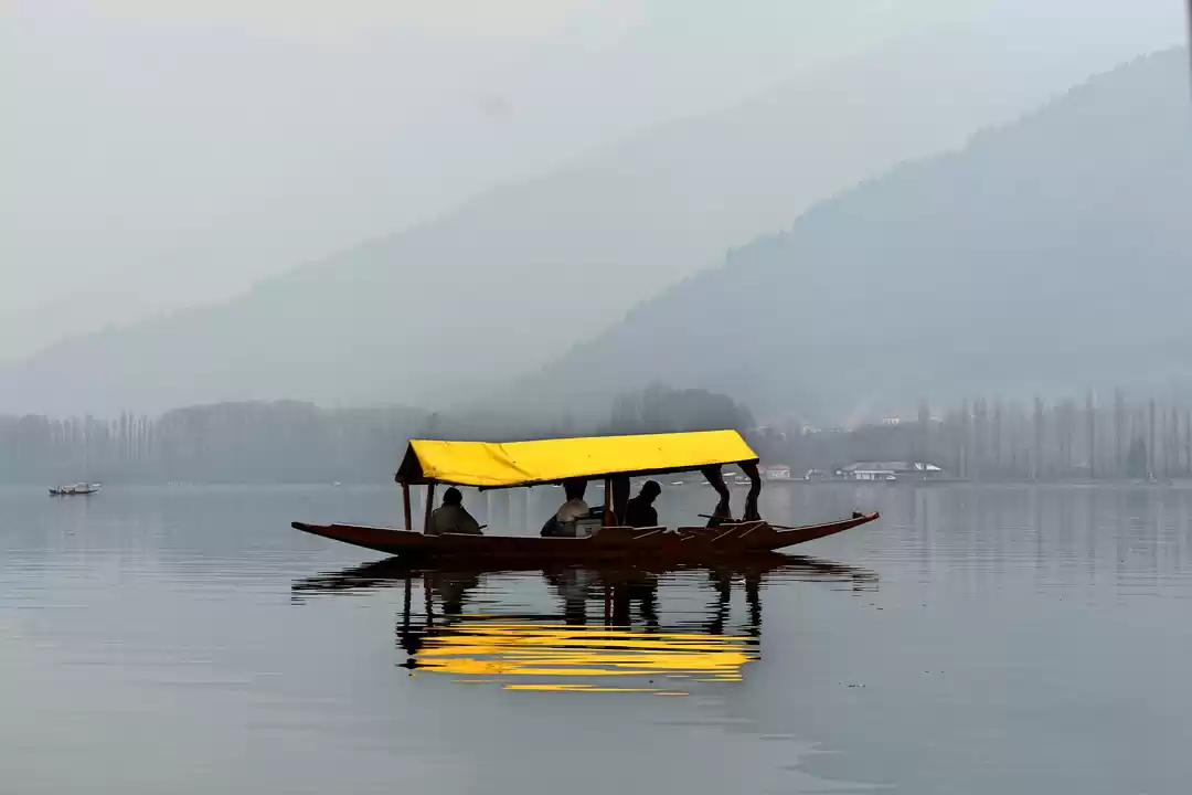 Photo of Srinagar - The Royal