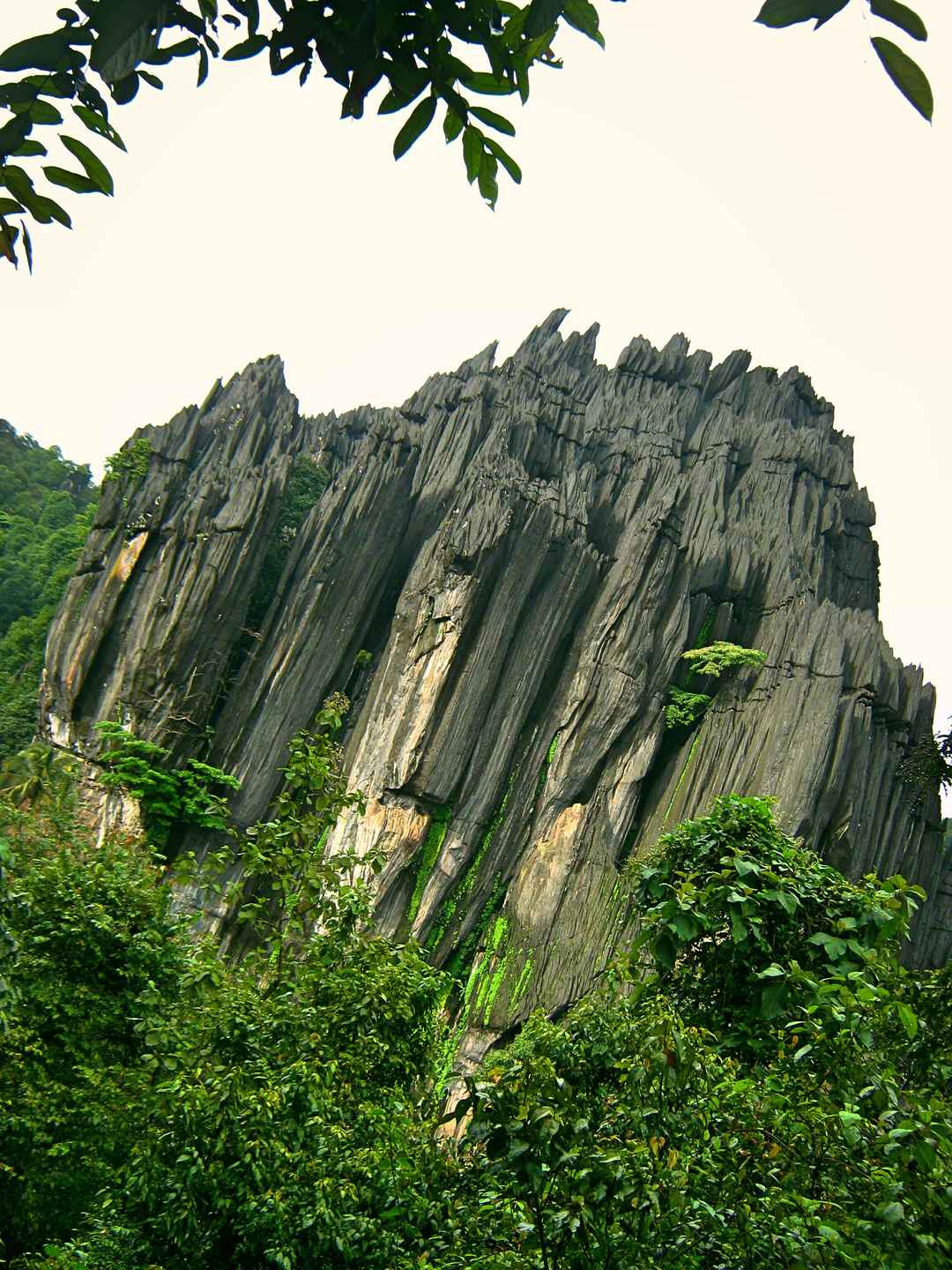 Photo of The First road trip of my life Through West Coast of Karnataka