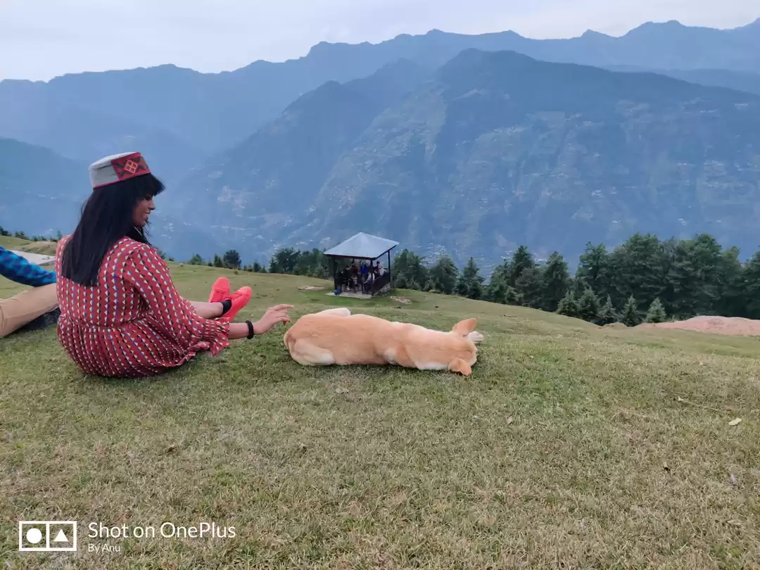 Photo of Trip to Remember