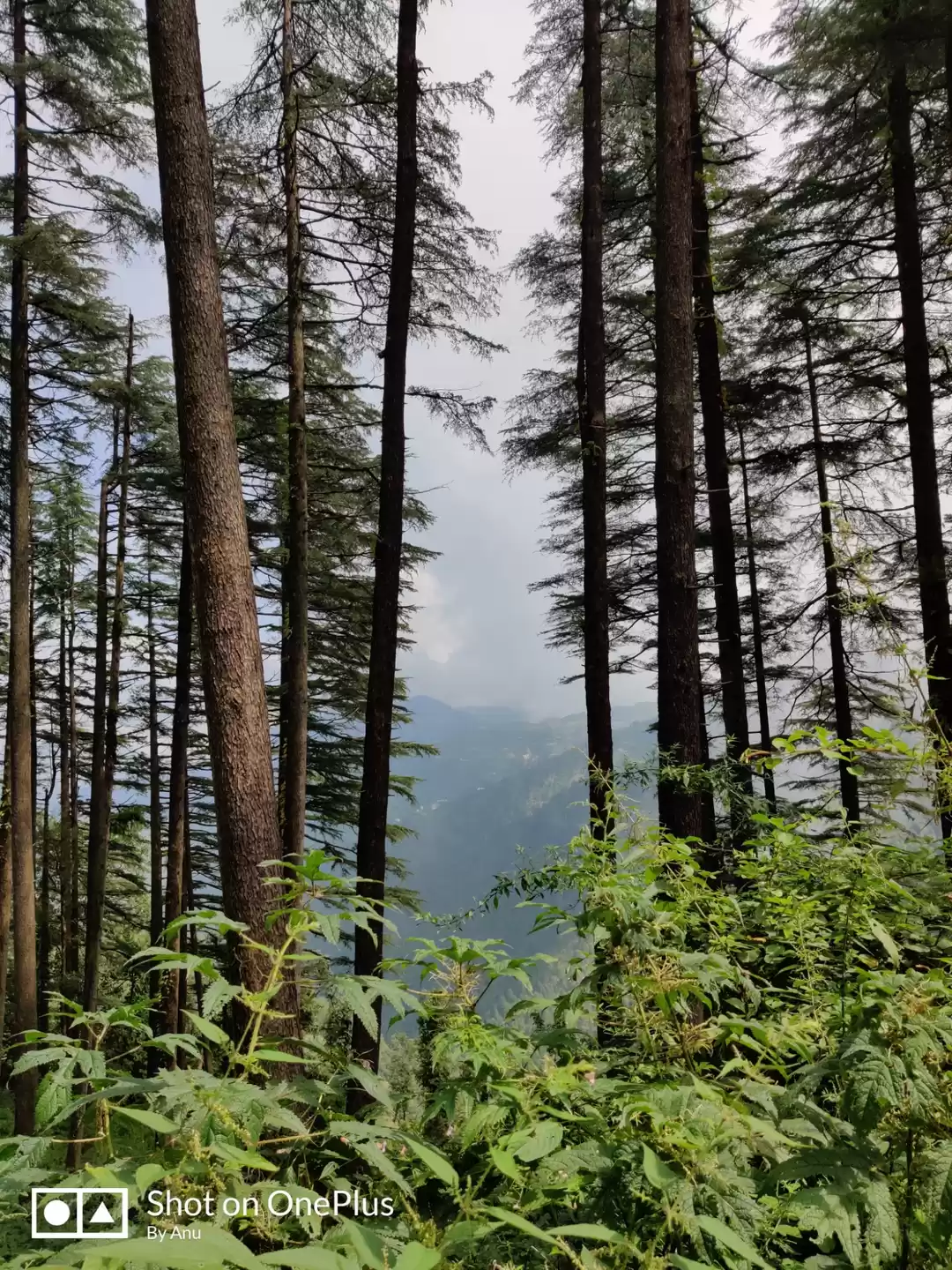 Photo of Budget Trip