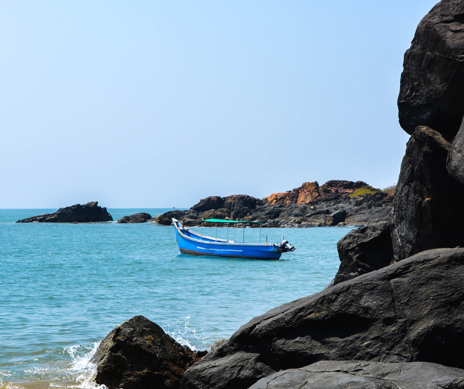 Photo of Things to Know About