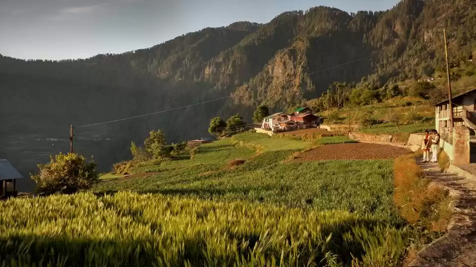 Photo of गोरछा: देहरादून से ब