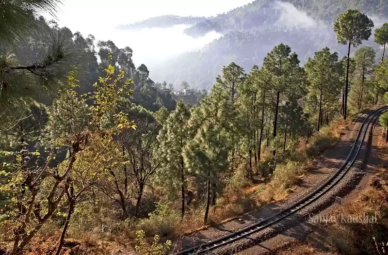 Photo of बड़ोग को उसकी मौत के