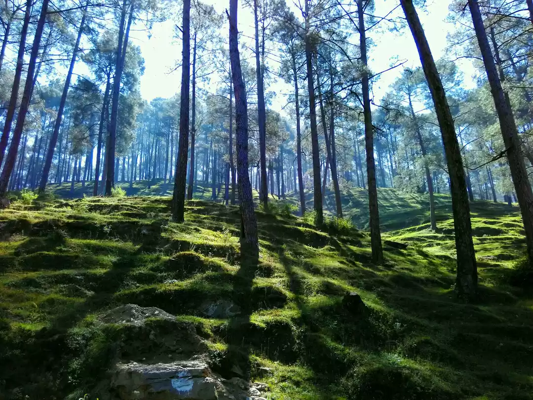 Photo of पंछी प्रेमियों का बड