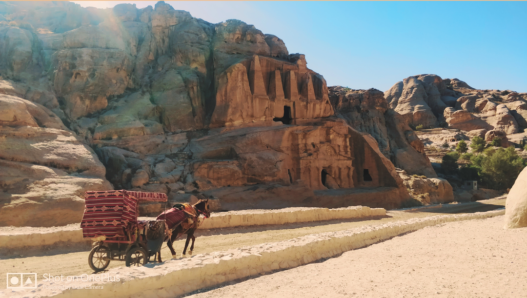 Photo of The Jordanian Wander