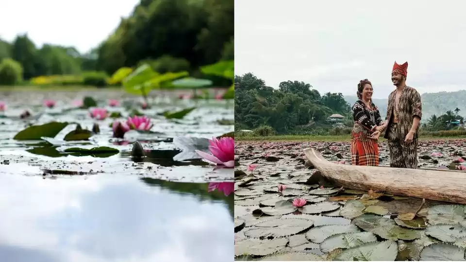 Photo of લોટસ વેલી : પરફેક્ટ