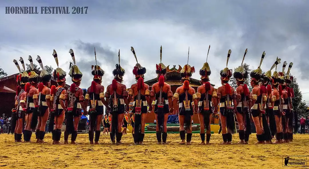 Photo of હોર્નબિલ ફેસ્ટિવલ: ન