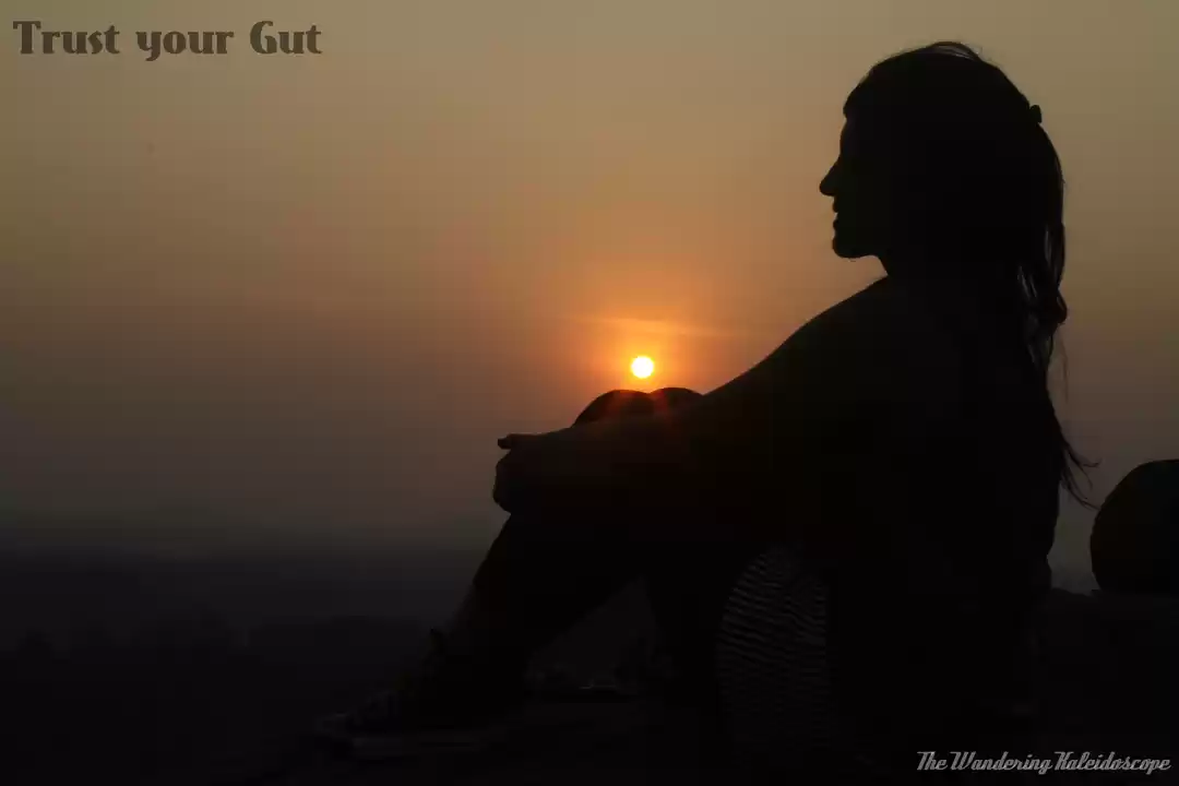 Photo of Trust your Gut | Raj