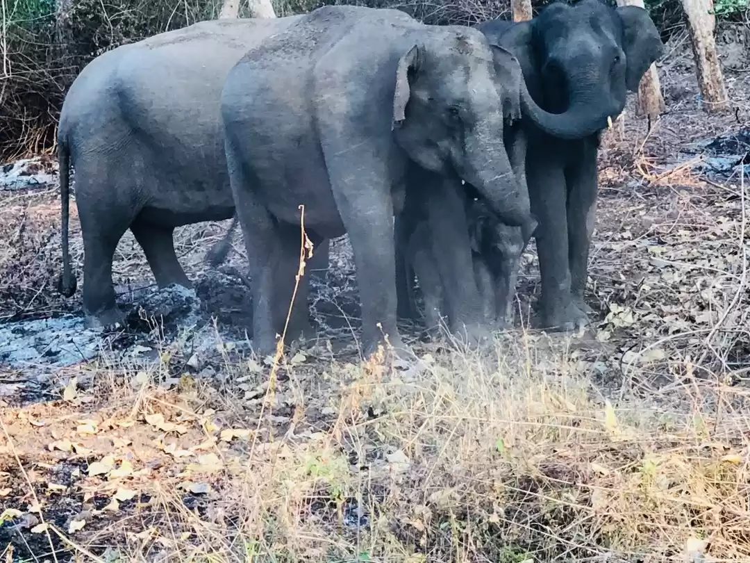 Photo of Road Tripper Abhishe