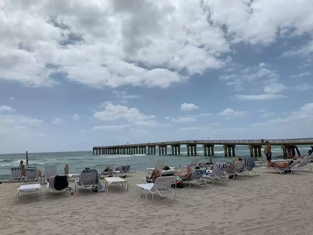 Photo of Step into Florida-th