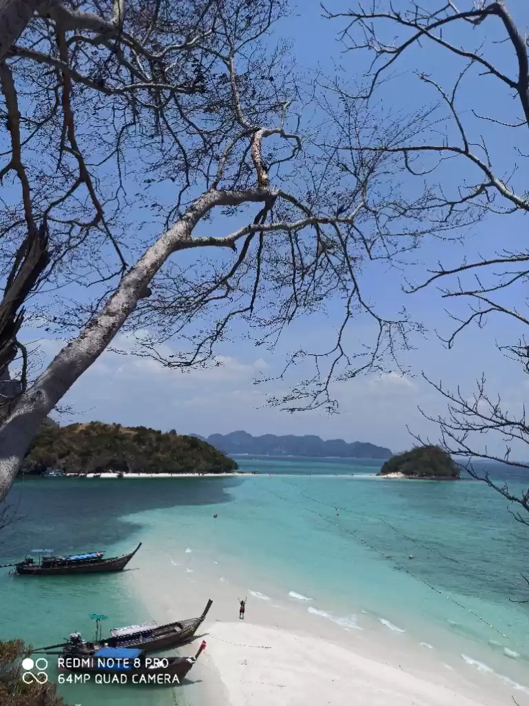 Photo of Cheapest way to krab