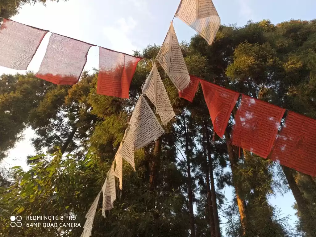 Photo of Lava and lolegaon