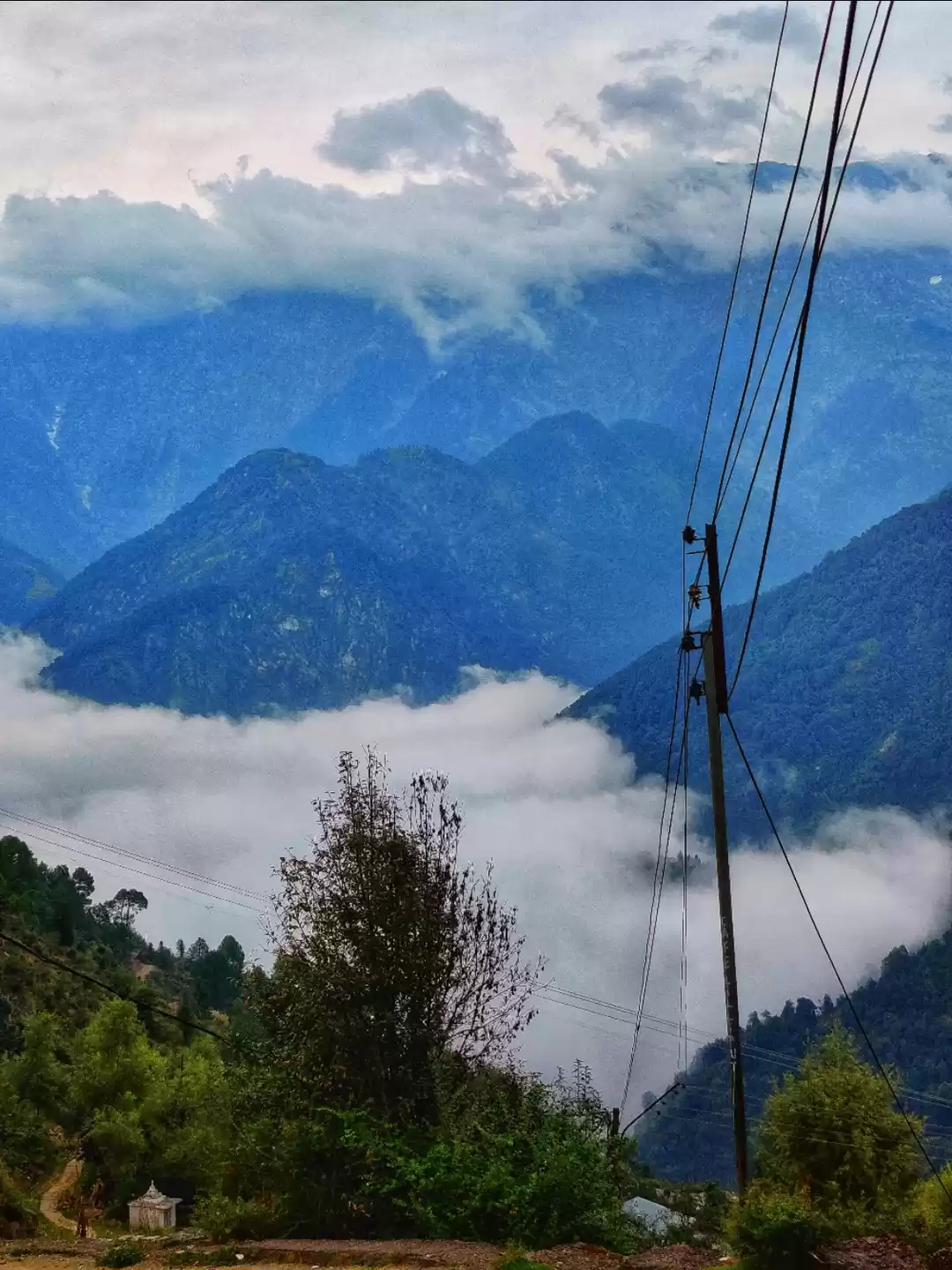 Photo of Go solo, go far. St