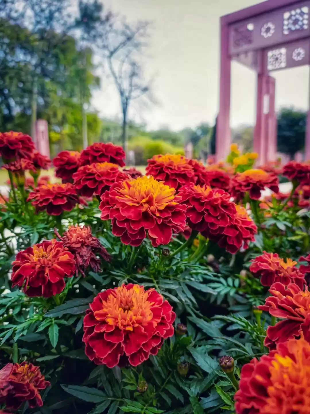 Photo of Sunder Nursery in Ne