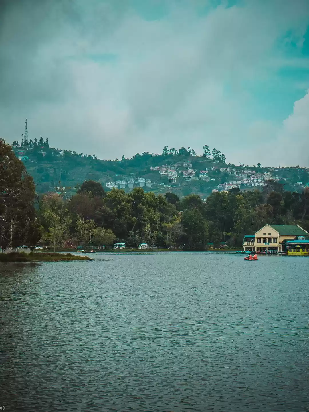 Photo of Black to Green