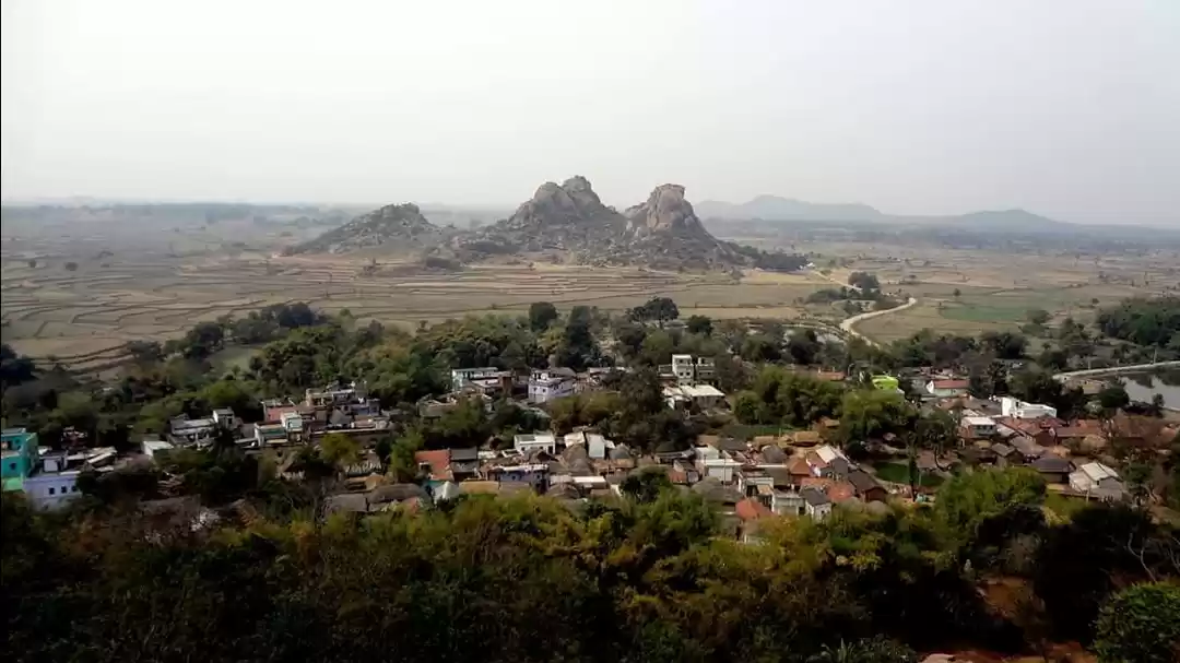 Photo of Rocks full of life -