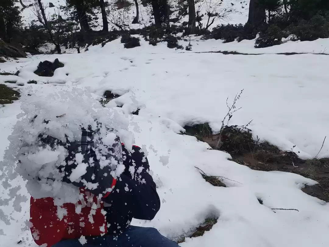 Photo of Wanderlust @ Manali 