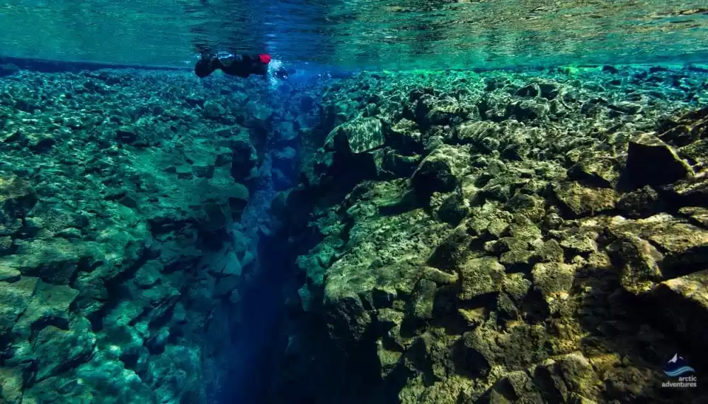 Photo of How A Brave Scuba Dr