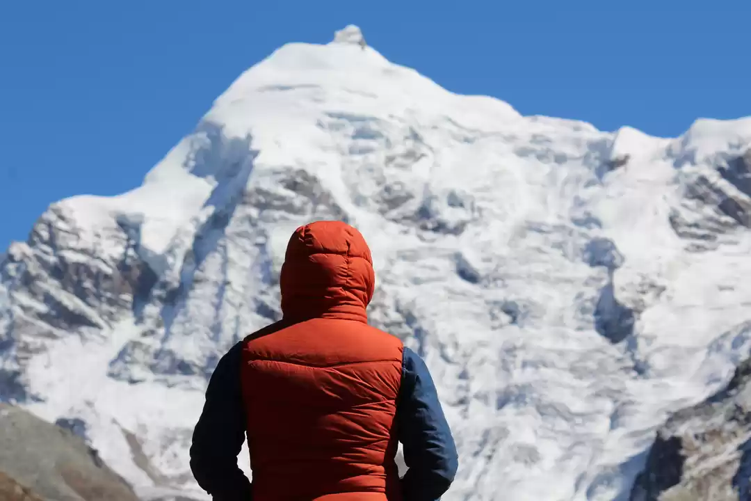 Photo of Which Indian Wild li