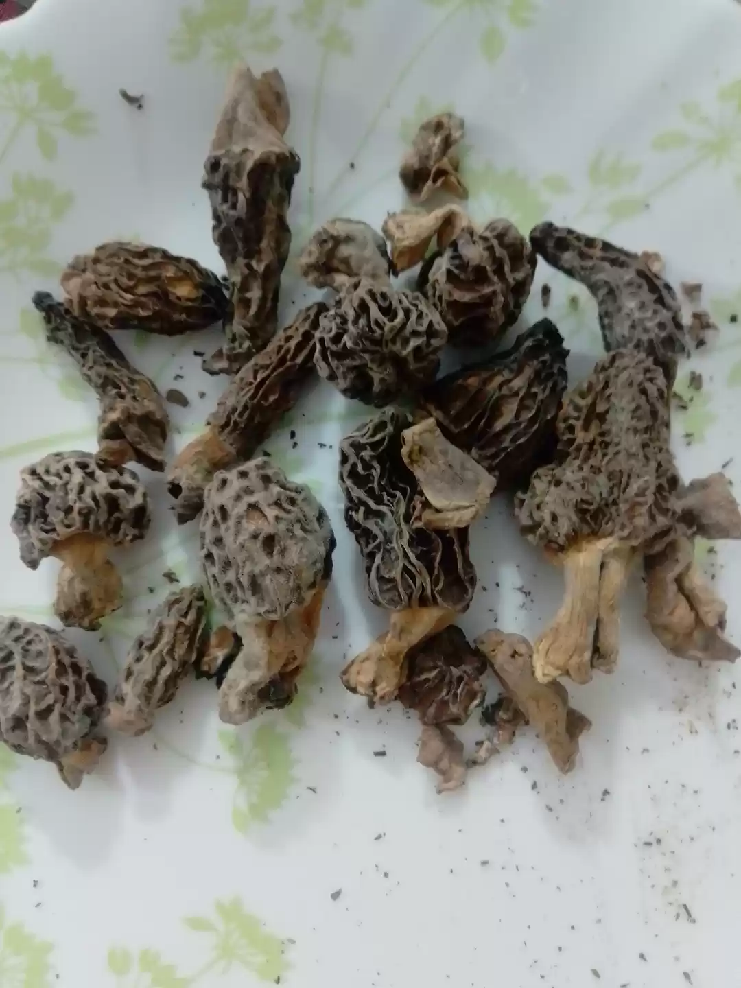 Photo of What to eat in Pangi