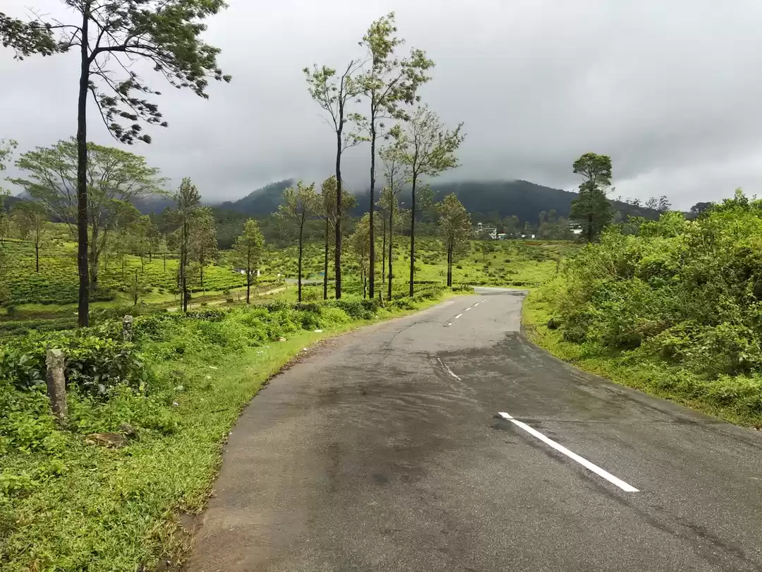 Photo of Kumily kerala, peerm