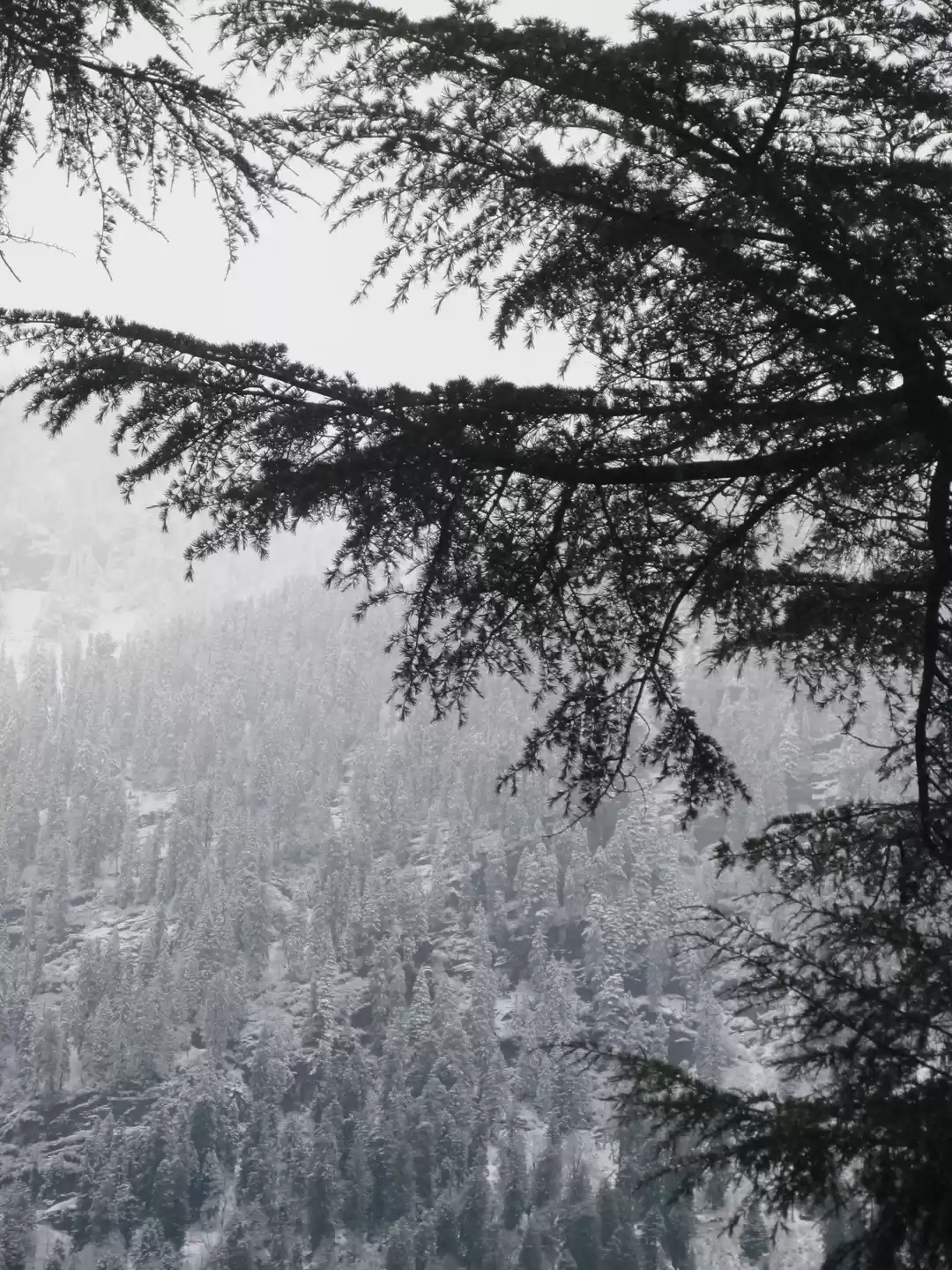 Photo of Paddling in the Moun
