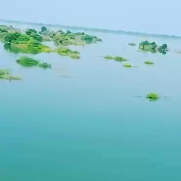 Photo of Viewing River Narmad