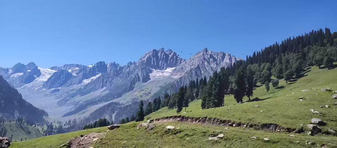 Photo of Trek to Kashmir Grea
