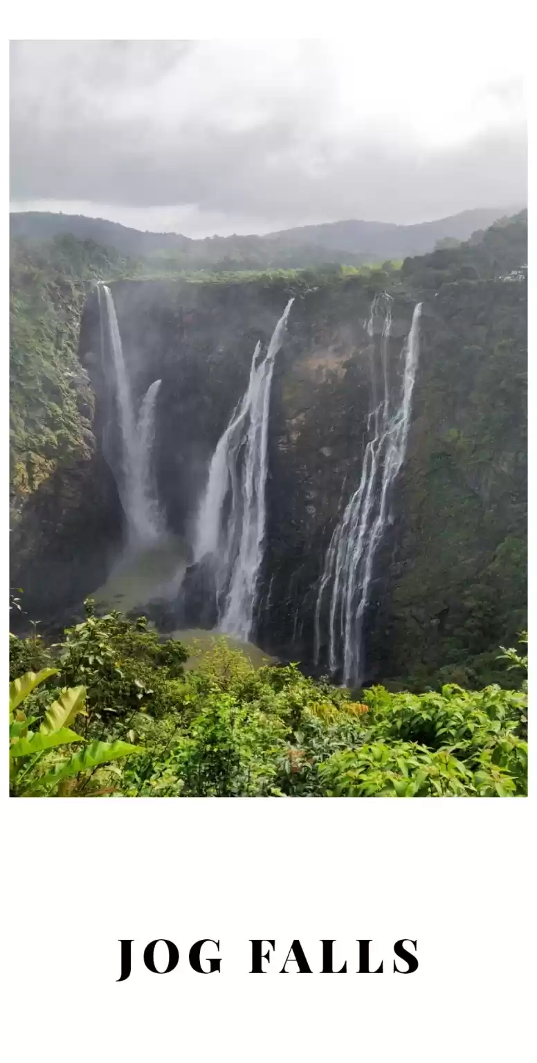 Photo of Jog falls : A one da