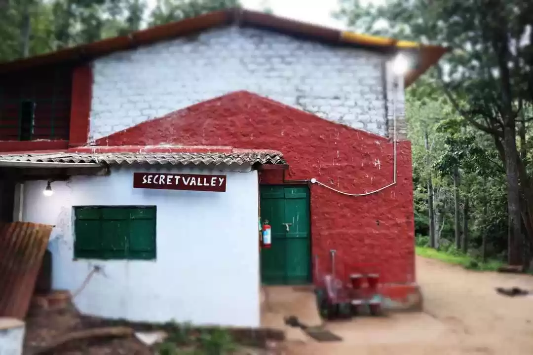 Photo of Secret Valley Jungle