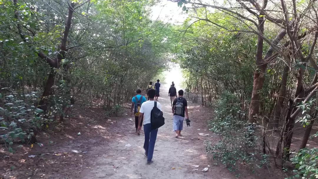 Photo of The daunting journey