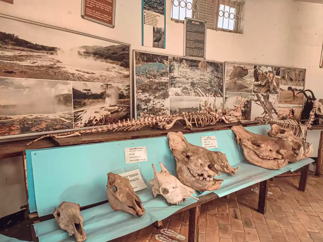 Photo of The Entebbe Zoo (UGA