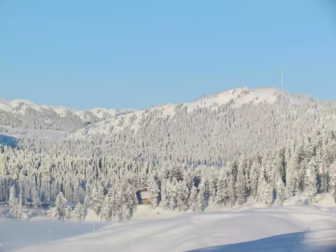 Photo of Gulmarg, Kashmir - W