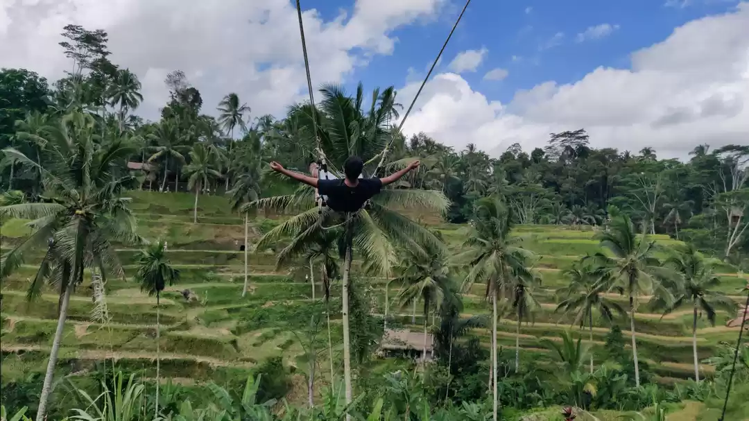 Photo of Top 10 Countries in