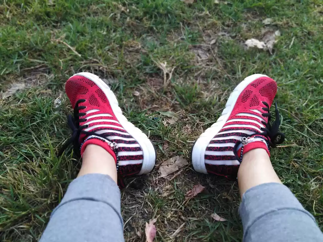 Photo of Solo trip to Munnar 