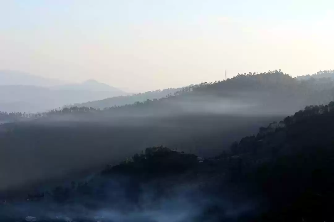 Photo of Ariel Views #viewfro